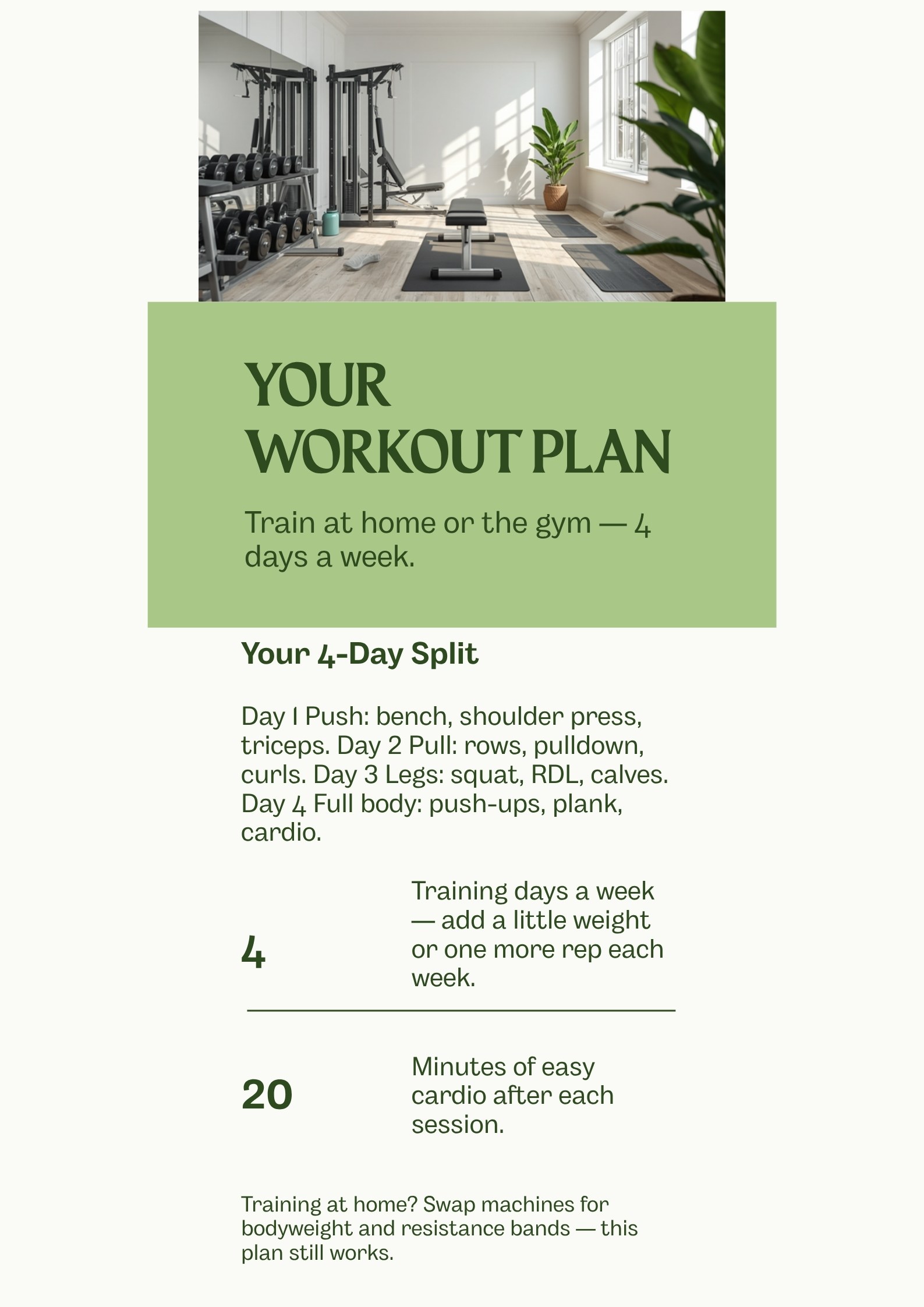 Workout plan — home or gym page